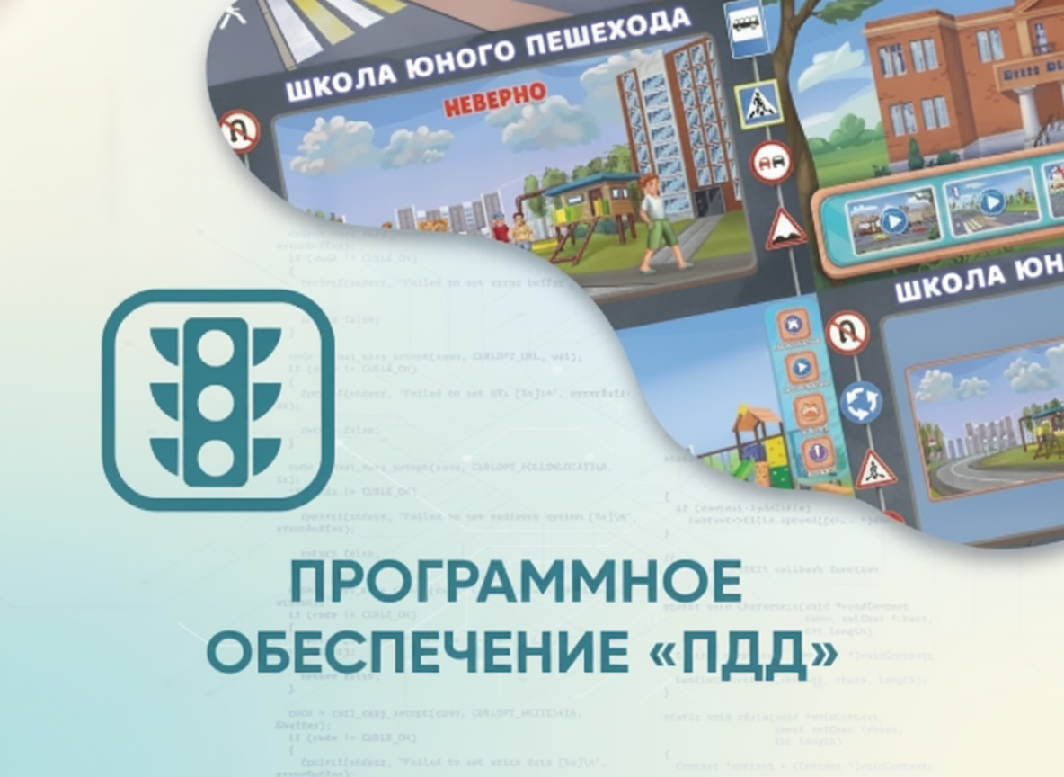 Программное обеспечение ПДД
