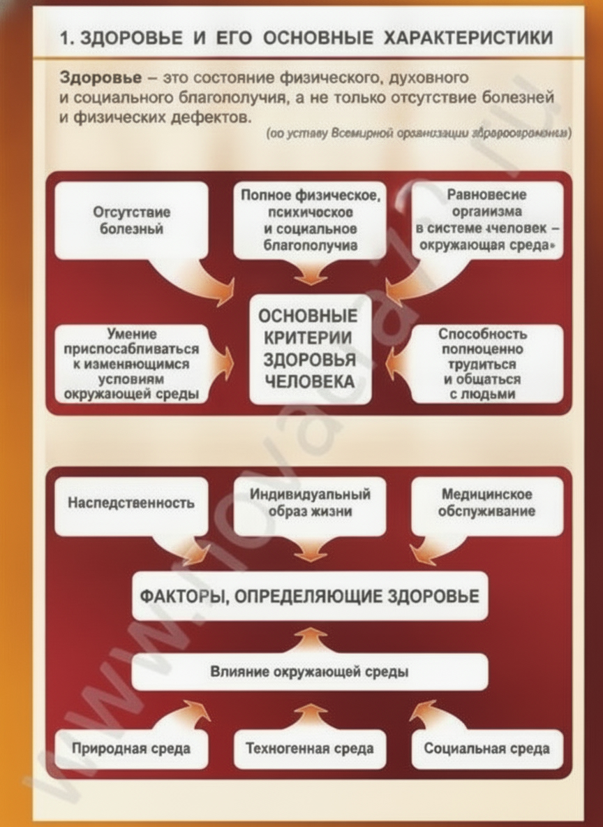 Комплект плакатов Здоровый образ жизни