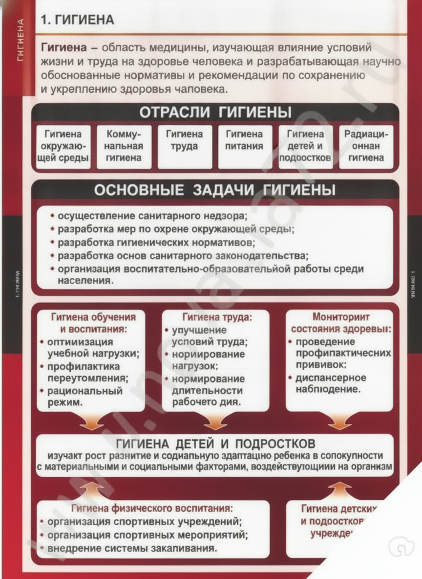 Комплект плакатов Гигиена