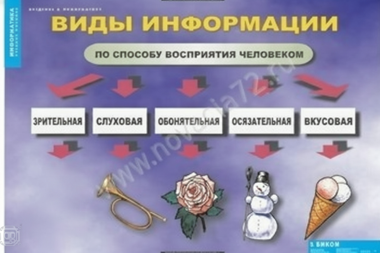 Комплект плакатов Введение в информатику