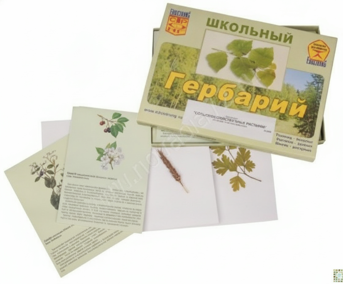 Гербарий с иллюстрациями Сельскохозяйственные растения
