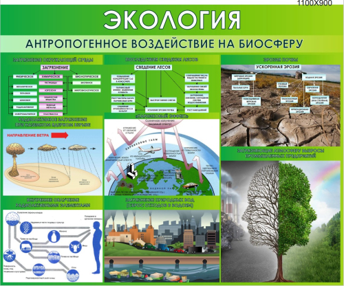 Стенд "Экология. Антропогенное воздействие на биосферу", 1100х900 мм