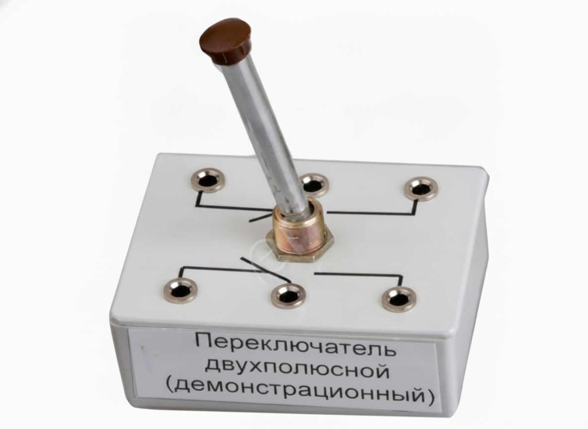 Переключатель двухполюсный (демонстрационный)