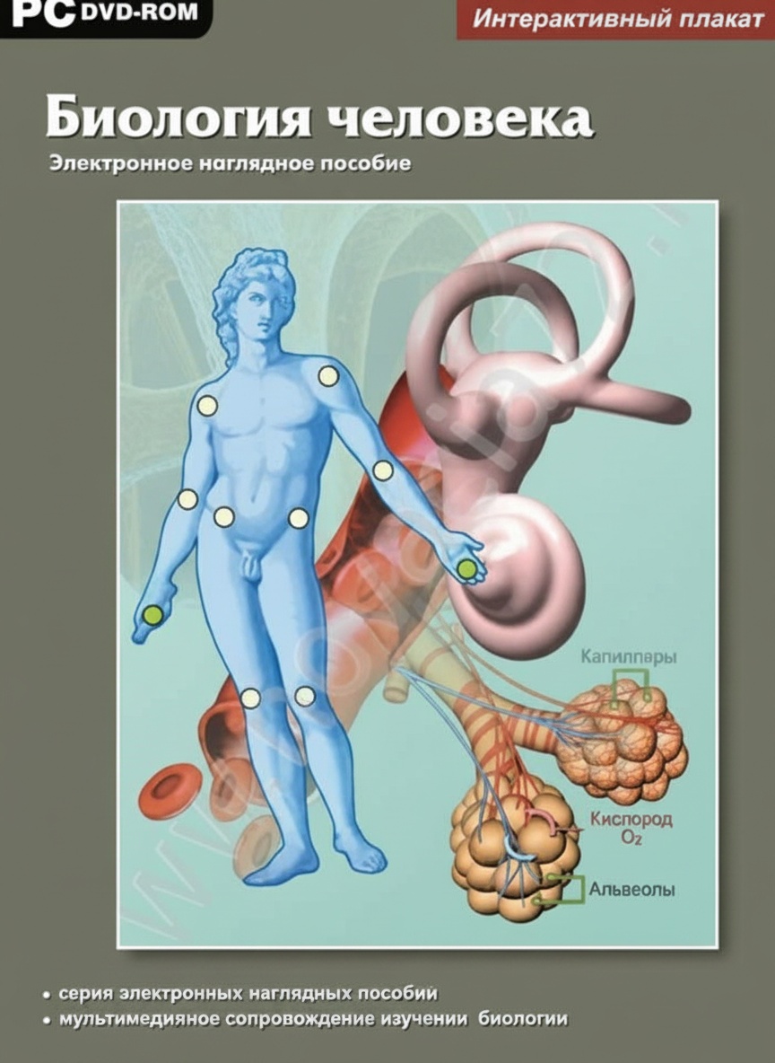 Интерактивные плакаты Биология человека. Программно-методический комплекс