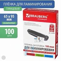 Пленки-заготовки для ламинирования МАЛОГО ФОРМАТА (65х95 мм), КОМПЛЕКТ 100 шт., 100 мкм, BRAUBERG, 530903