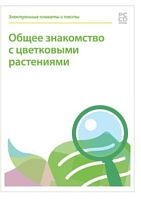 Электронные плакаты и тесты. Биология. Общее знакомство с цветковыми растениями. 6 класс
