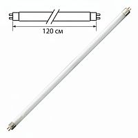 Лампа люминесцентная PHILIPS TL-D 36W/54-765, 36 Вт, цоколь G13, в виде трубки 120 см, холодный дневной свет, 815849