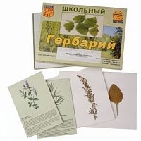 Гербарий с иллюстрациями Лекарственные растения