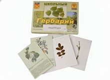 Гербарий Деревья и кустарники (22 вида, с иллюстрациями)