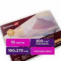 Альбом для акрила и масла, 300 г/м2, 190х270 мм, 10 листов, склейка, тиснение "холст", BRAUBERG ART PREMIERE, 113267