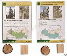 Коллекция Древесные растения и их распространение (демонстрационная)