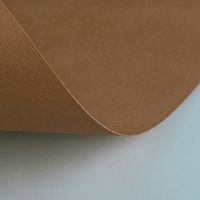 Бумага(картон) для творчества (1 лист) Fabriano Elle Erre А2+ 500*700мм, 220г/м2, теракот, 42450719