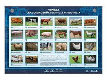 Электрифицированный стенд Порода сельскохозяйственных животных