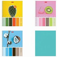 Тетрадь А5, 80 л., HATBER гребень, клетка, обложка картон, "Color Set" (4 вида в спайке), 80Т5В1гр
