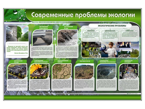 Стенд Современные проблемы экологии