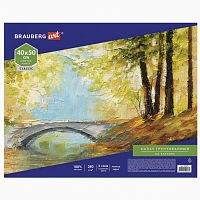 Холст на картоне BRAUBERG ART CLASSIC, 40*50см, грунтованный, 100% хлопок, мелкое зерно, 190622