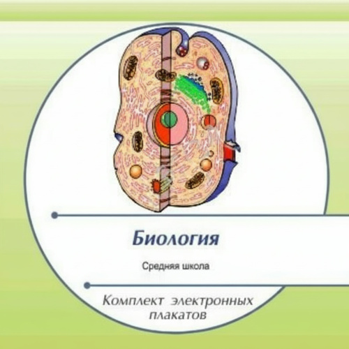 Комплект электронных плакатов по Биологии (на CD)