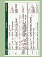 Комплект плакатов Русский язык. Таблицы для старшей школы 10 кл.