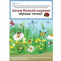 Интерактивные занятия в ДОУ. Зачем божьей коровке черные точки?