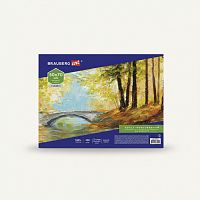 Холст на картоне BRAUBERG ART CLASSIC, 50*70см, грунтованный, 100% хлопок, мелкое зерно, 191022
