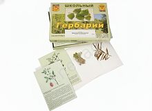 Гербарий Для начальной школы (30 видов, с иллюстрациями)