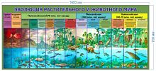 Стенд Эволюция растительного и животного мира, 1,6х0,7 м