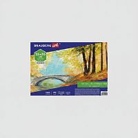 Холст на картоне BRAUBERG ART CLASSIC, 25*35см, грунтованный, 100% хлопок, мелкое зерно, 190620