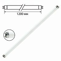 Лампа люминесцентная PHILIPS TL-D 36W/33-640, 36 Вт, цоколь G13, в виде трубки 120 см