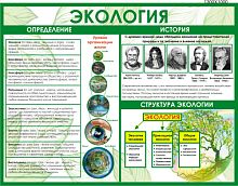 Стенд Экология, 1300х1000 мм