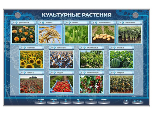 Электрифицированный стенд Культурные растения