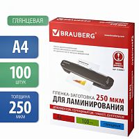 Пленки-заготовки для ламинирования А4, КОМПЛЕКТ 100 шт., 250 мкм, BRAUBERG, 530897