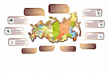 Настенная композиция для холла и кабинета географии